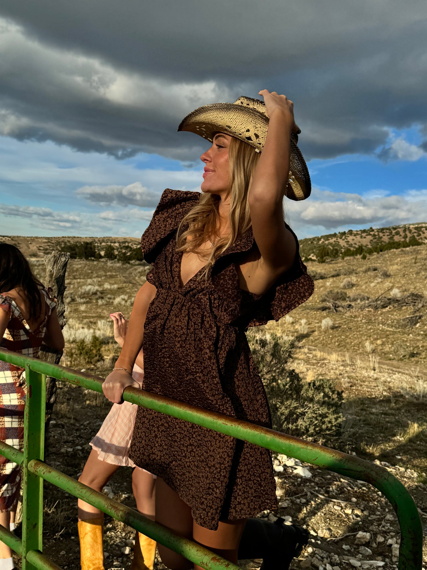 Sunday Hazelnut Flutter Dress