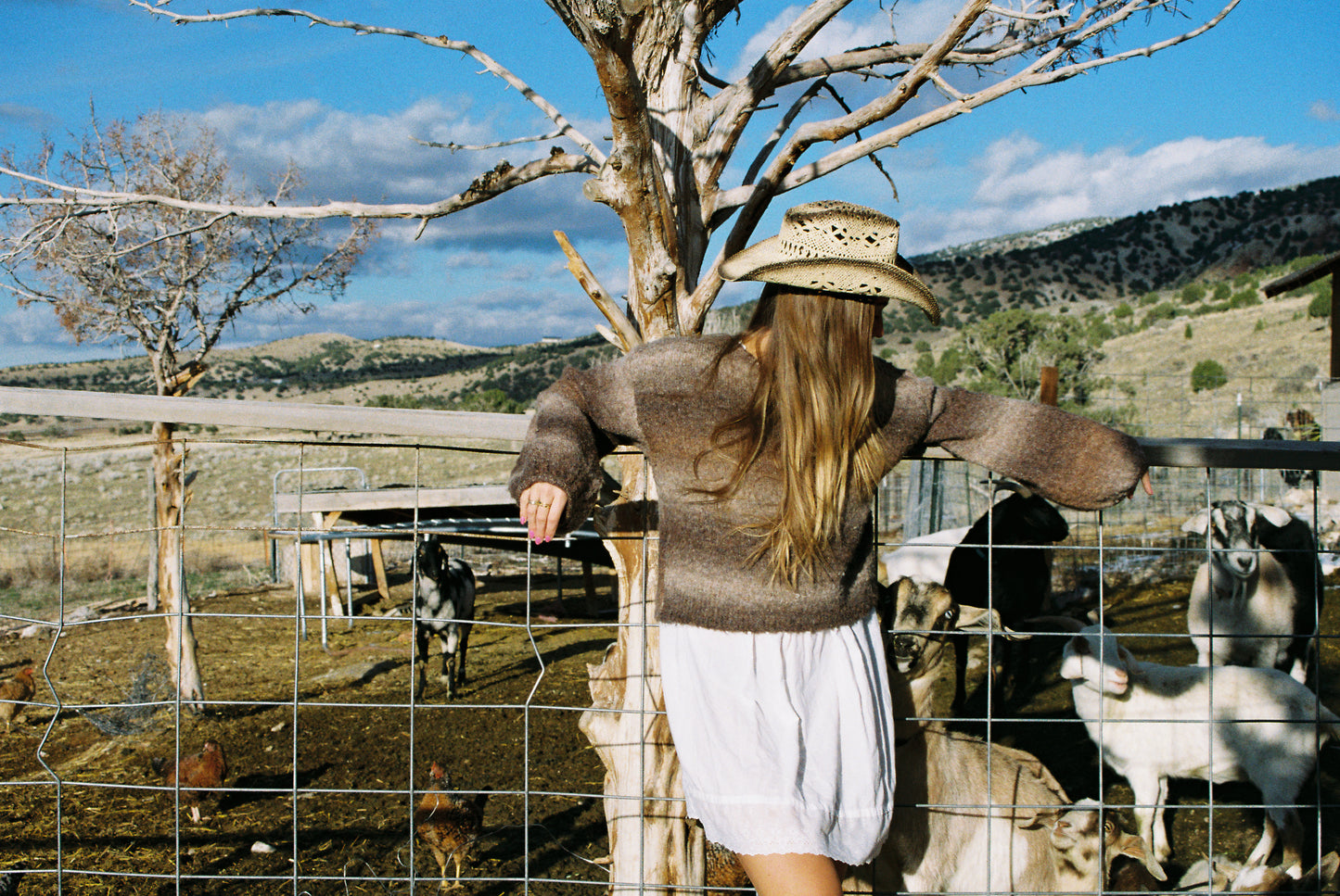 Riot Barrel Sweater *Restock*