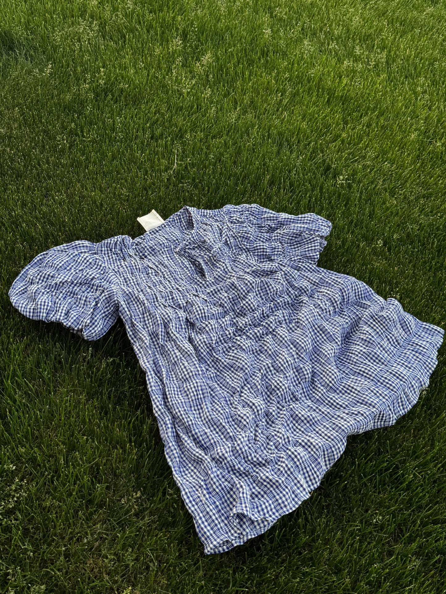 Sunday Blueberry Puff Mini Dress